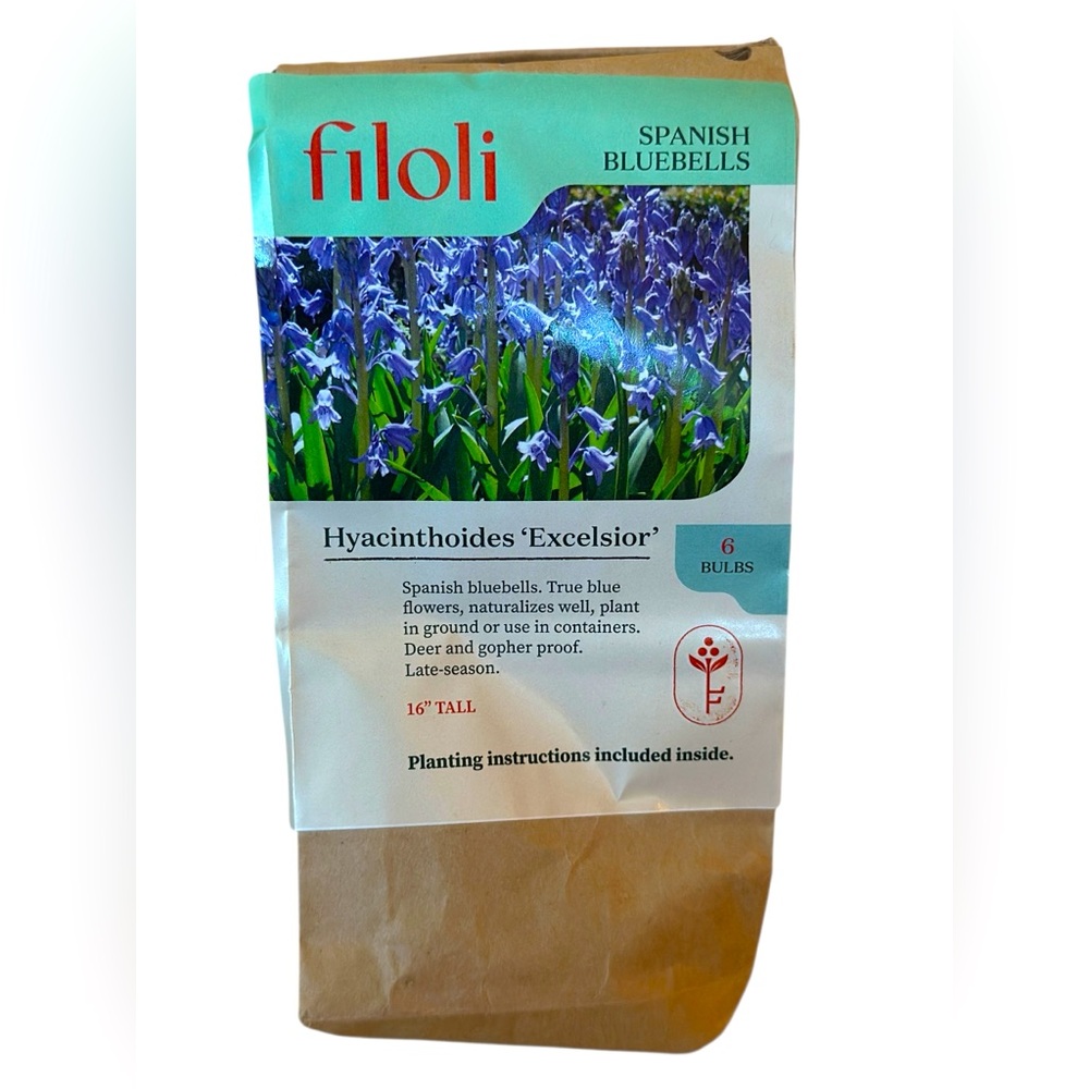 Filoli Spanish Bluebells Bulbs NWT